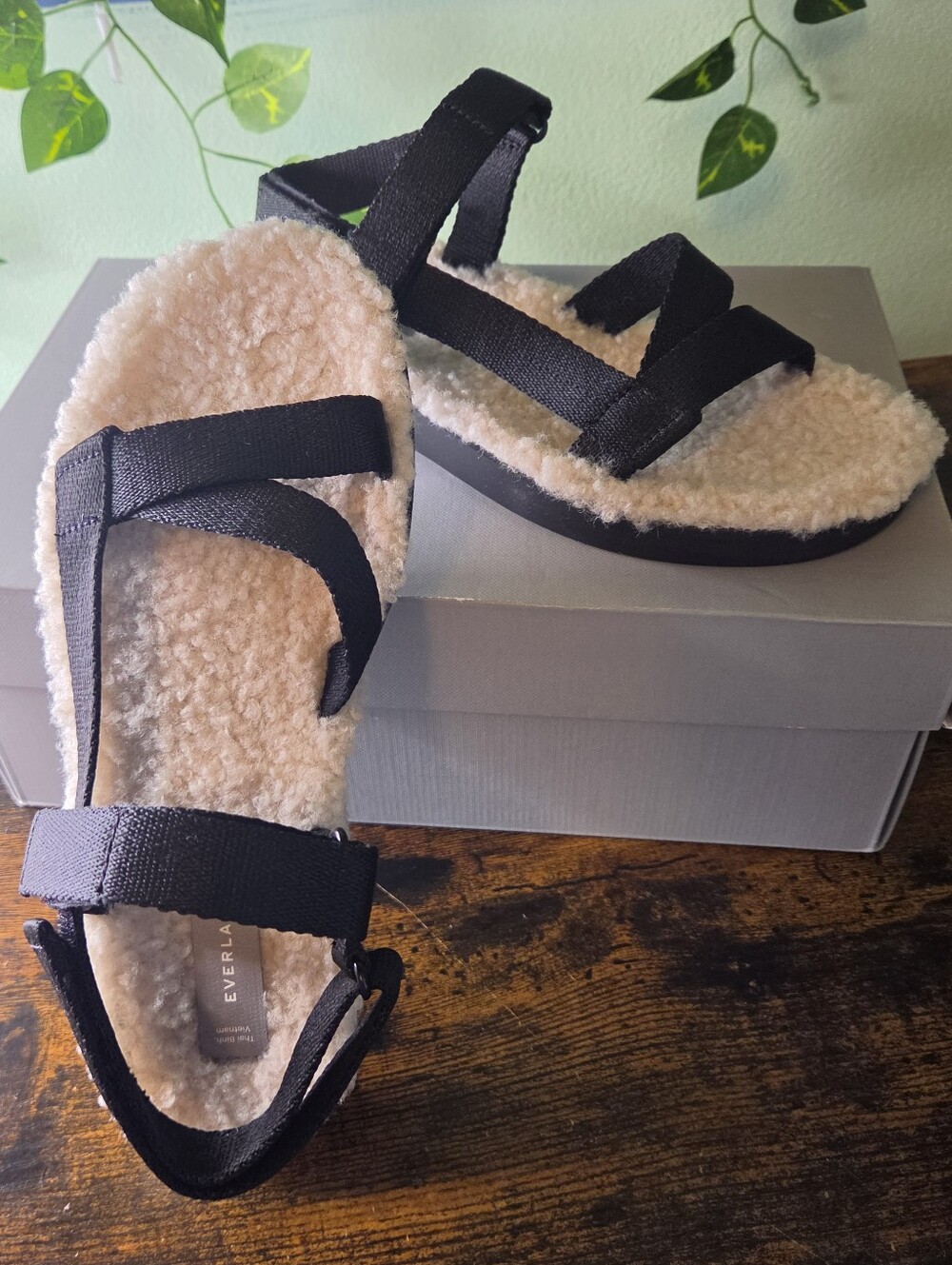 Everlane ReNew Teddy Sport Sandals Womens 6 Black Gorpcore Cozy Minimalist NIB